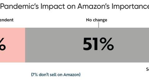 Pandemic's Impact on Amazon's Importance